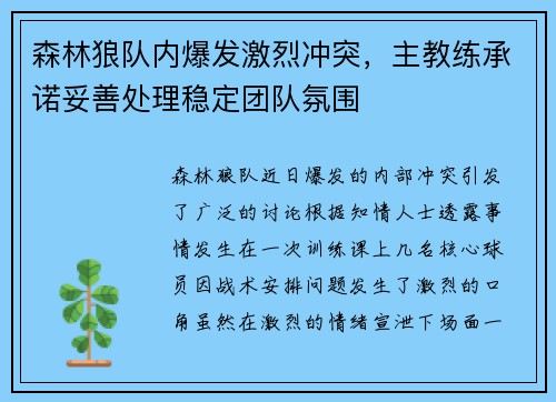 森林狼队内爆发激烈冲突，主教练承诺妥善处理稳定团队氛围